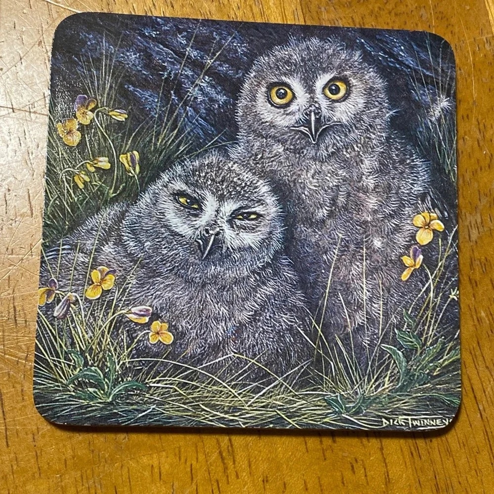 Dick Twinney Owl Coasters Set of 6 Vintage Wildlife Art Multi Color Owls